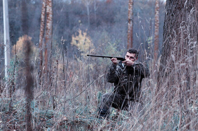 Dream about Killing a Wild Animal with No Purpose of Hunting interpretation