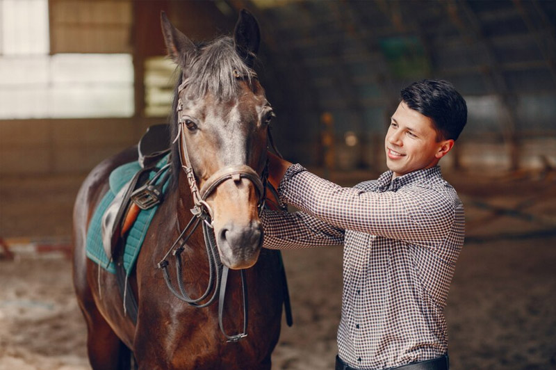 Dream about Saddling a Horse interpretation