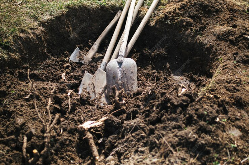 Dream about Digging the Grave of a Dead Person interpretation